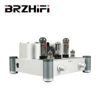 Amplificateur de puissance professionnel BRZHIFI, classe A, son HIFI, amplificateur à tubes, amplificateur de haut niveau, amplificateur mono-canal, home cinéma, audio stéréo