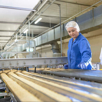 400/600/800/1000/1500mm Moules à biscuits Ligne de production automatique de biscuits Machine à biscuits de Shanghai Machinery