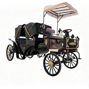 Carroza turística eléctrica negra personalizada de la princesa Cenicienta, fabricada en China. - Product Image 1