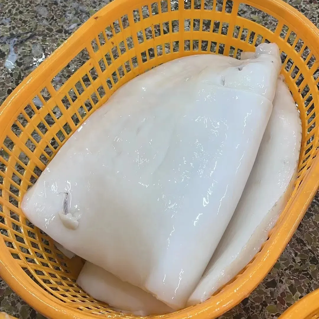 Filete de Calamar Gigante Congelado, Filete de Calamar Gigante Peru Congelado