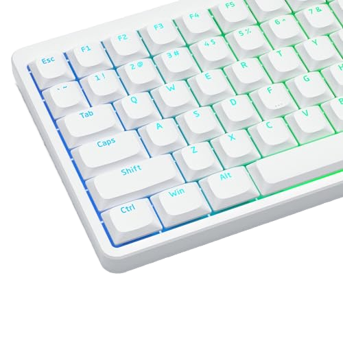 Womier Low Profile Minimalist Style Translucent Custom Silicone Keycaps Universal Compatibility Mechanical Keyboards (60% 65%