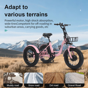<span class=keywords><strong>Tricycle</strong></span> <span class=keywords><strong>électrique</strong></span> à gros pneus pour adultes, vélo à 3 roues avec assistance au pédalage de 24 pouces, <span class=keywords><strong>tricycle</strong></span> <span class=keywords><strong>électrique</strong></span> alimenté au lithium pour la neige et tous les terrains - Product Image 5