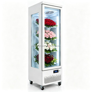 Vitrine à fleurs à porte unique avec système de compression inférieure et flux d'air uniforme pour une conservation longue durée des fleurs fraîches coupées - Product Image 4