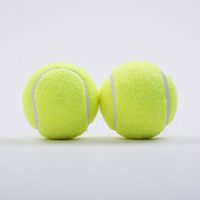 Balles de Tennis Professionnelles de Marque Sportive 2.5" 1.35m Haute ÉLasticité Écologiques Durables Logo Personnalisé Loisirs Entraînement