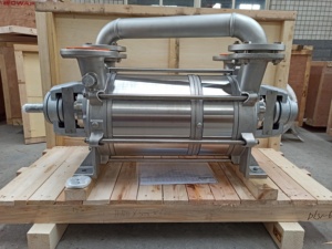 DLV 800 SS304 Ring Vacuum <b>Pump</b> Double Stage Bare - Product Image 2