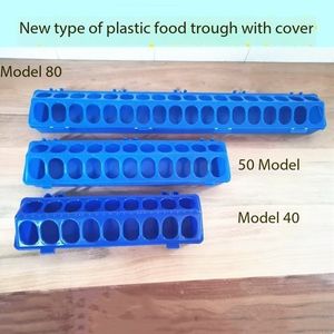 Platane respetuoso con el medio ambiente madera Pino paloma comedero antiaspersión cinturón cubierta caja de alimentos portador caja de arena comedero-Paloma - Product Image 4