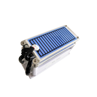 Générateur d'ozone en céramique, technologie de décharge Corona pour la purification de l'air, désodorisant pour voiture, concentration d'ozone de 20 g/h
