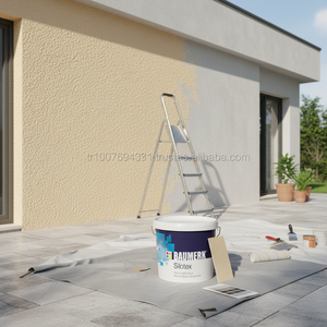 Peinture texturée en silicone - Product Image 3