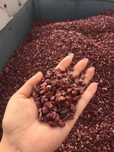 Giardino all'aperto ciottoli rocce di colore misto pietra ghiaia levigata <span class=keywords><strong>per</strong></span> l'abbellimento del vaso riempitivi - Product Image 4