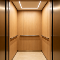 Ascenseur résidentiel moderne et durable pour villa, 320 kg, 400 kg, traction sans engrenage, pour maison de luxe 2-3 étages, vente en gros