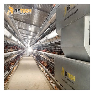 Equipos <span class=keywords><strong>de</strong></span> <span class=keywords><strong>granja</strong></span> avícola Q235 acero estándar nacional criadora jaulas para gallinas ponedoras - Product Image 1