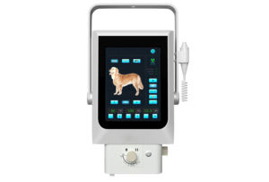 Máquina de Rayos <span class=keywords><strong>X</strong></span> Veterinaria <span class=keywords><strong>Digital</strong></span> Portátil con Panel DR, Máquina de Rayos <span class=keywords><strong>X</strong></span> para Hospital con Batería - Product Image 6