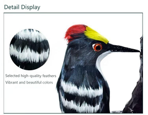 Modelo de anatomía de pájaro carpintero, exhibición detallada de la morfología de aves para la educación en biología y la popularización de la ciencia - Product Image 2