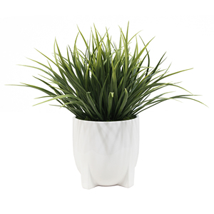 2024 nouveau Design pas cher Mini petite plante en pot faux vert séché <span class=keywords><strong>pampa</strong></span> <span class=keywords><strong>herbe</strong></span> artificielle semis <span class=keywords><strong>herbe</strong></span> pour <span class=keywords><strong>la</strong></span> maison bureau décor - Product Image 1