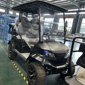 รถบัสท่องเที่ยวและรถมินิคาร์สำหรับล่าสัตว์ ราคาโรงงาน พร้อมมาตรวัดแบบมืออาชีพ - Product Image 2
