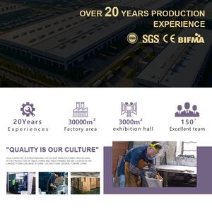 ชุดเฟอร์นิเจอร์รับประทานอาหารกลางแจ้งสไตล์หรูหราแบบวินเทจขนาดใหญ่ โต๊ะอาหารพร้อมเก้าอี้ 10 ตัว - Product Image 6