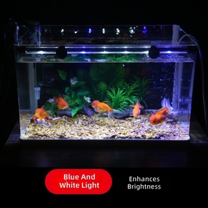 Lumière <span class=keywords><strong>LED</strong></span> pour <span class=keywords><strong>aquarium</strong></span> en verre, modèle <span class=keywords><strong>T8</strong></span>, étanche, à changement de couleur, pour plantes aquatiques, poissons ornementaux, petits aquariums, montage sur ligne d'eau - Product Image 3