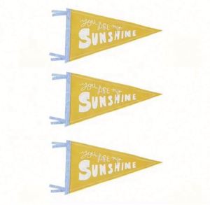 Professional Customizable Digital Printing University Felt Triangle <b>Banners</b> Portable Waterproof Eco-Friendly - Product Image 6