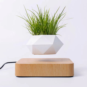 <span class=keywords><strong>Maceta</strong></span> Magnética <span class=keywords><strong>Levitante</strong></span>, <span class=keywords><strong>Maceta</strong></span> Flotante con Levitación Magnética para Decoración del Hogar - Product Image 3