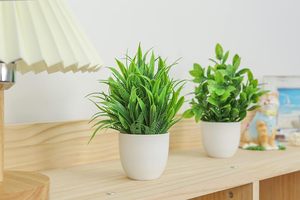 4パックミニ人工ポットユーカリ草プラスチックフェイクプラント家庭用またはオフィス装飾花 - Product Image 5