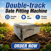 1500W Elektrische Dubbelbaans Dubbelrail Ontpitmachine voor Fruit en Groenten met Aanpasbare Spanning (220V/380V)