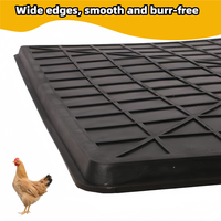 Plateau de fumier inférieur pour volaille, plateau de fumier pour poulets, cage à poulets, planche de fumier