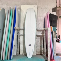Planches de surf à fond dur en époxy souple EVA personnalisées de 9 pieds avec mousse EPS pour les eaux de l'océan-Palmes de planches d'école de surf écologiques