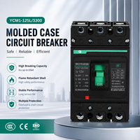 Disjoncteur à boîtier moulé MCCB 3 pôles 125A 400V AC 35kA à déclenchement thermomagnétique pour la distribution d'énergie