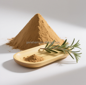 <span class=keywords><strong>Gmp</strong></span> chứng nhận cấp thực phẩm Lâm suốt-sức mạnh Hương thảo lá chiết xuất 2.5% 65% có thể điều chỉnh rosmarinic axit nội dung bột hình thức - Product Image 6