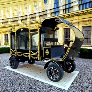 Carroza Fúnebre Eléctrica de Alta Calidad a Bajo Precio de Fábrica, Transporte Especial - Product Image 1