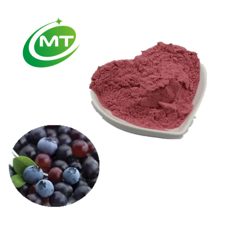 Organic Freeze-Dried Acai Berry Fruit Powder High Quality free sample nature Acai berry extract powder