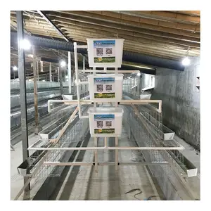 Un tipo 96 aves gallinas, huevos <span class=keywords><strong>de</strong></span> aves <span class=keywords><strong>de</strong></span> corral para jaula <span class=keywords><strong>de</strong></span> pollo Kenya <span class=keywords><strong>granja</strong></span> - Product Image 1