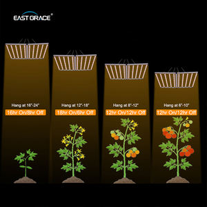 1000W + 100W Résistance Gradation 10 Bars Bloom Spectrum Intérieur Légumes <span class=keywords><strong>Fleur</strong></span> Plante LED Croissance Lumière - Product Image 4