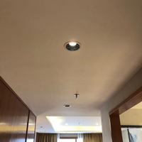 RONSE Haute Qualité Prix bas Intelligent pour DALI Dim Led 10w 20w 28w 30w IP44 Chambre à coucher Panneau Rond profond pour Maison Hôtel