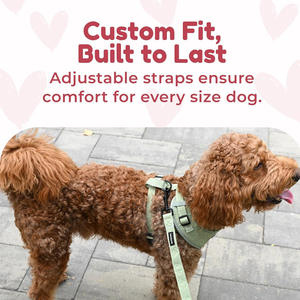 Chaleco Ajustable y Transpirable con Lindo Estampado <span class=keywords><strong>de</strong></span> Corazones, Acolchado Suave con Anillo en D en la Espalda, para Perros Pequeños <span class=keywords><strong>de</strong></span> Talla XXS-L - Product Image 3