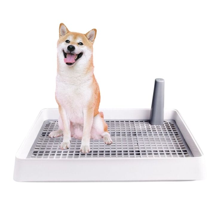 Potty Training Trained Shiba Inu Pet Corrector Pet Dog Potty