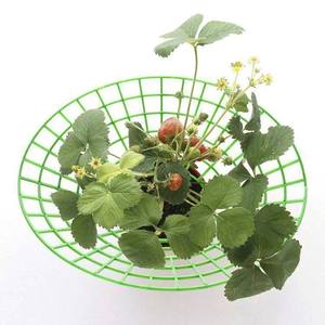 Soporte de fresa Binkai, soporte de enrejado verde para plantas en maceta, diseño apilable, soporte duradero para herramientas de jardín - Product Image 2