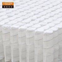 Unité de ressort de poche à haute compression pour meubles de bobine de rouleau d'acier de canapé faisant la boîte individuelle de matelas en mousse enroulable Durable