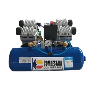 DC310V 144V 270V Permanent Magnet Brushless Power Oil-Free Air Compressor OEM Customized Spot Factory Production Compresseur