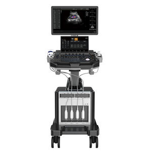 수의사 및 병원 진단 이미징을위한 고화질 3D OB/GYN 진단 초음파 스캐너 - Product Image 3