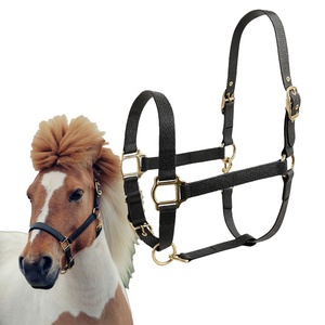 Collier <span class=keywords><strong>de</strong></span> tête <span class=keywords><strong>de</strong></span> cheval en PVC souple, ajustable et durable, imperméable, personnalisé, petit <span class=keywords><strong>poney</strong></span> moelleux Cob Arabian Rubber personnalisé Halter Horse - Product Image 1