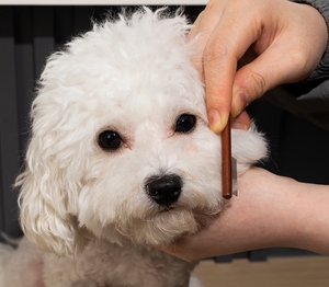 Peine para perros, removedor de pelo para mascotas, mango de madera, peine sólido para gatos, herramienta de limpieza para el cuidado de mascotas, herramientas de eliminación de garrapatas y pulgas - Product Image 4