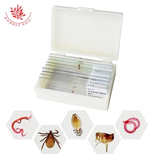 Preparación de Recursos Didácticos, Portaobjetos de Parásitos Transparentes, Portaobjetos de Parásitos Reales, Espécimen de Biología, Portaobjetos Preparados para Microscopio - Product Image 3