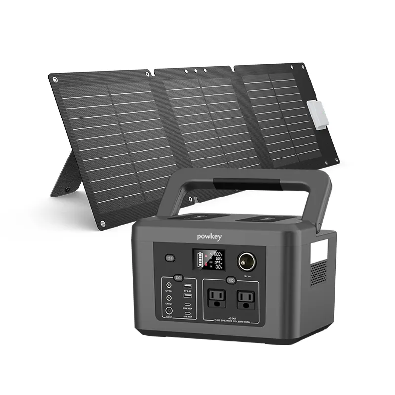 Ups Batterij Back-Up Draagbare Krachtcentrale 600W 1000W 2000W Thuis Camping Zonne-Energie Generator