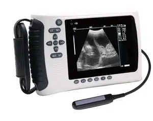 बड़े पशु गर्भावस्था परीक्षण इलेक्ट्रॉनिक जांच अल्ट्रासोनिक जांच उपकरण रेक्टल जांच सूक्ष्म उत्तल जांच