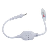 Bande lumineuse LED personnalisée AC110/220V avec prise US/EU/UK/SAA, accessoires 2-4 broches, 2A 4A 8A 15A 20A 100W 1000W 2000W