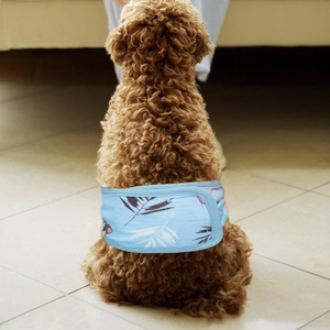 Wl 3 पैक नरम आरामदायक पेट बैंड पुरुष कुत्तों को पुनः प्रयोज्य धोने योग्य कुत्ता डायपर उच्च अवशोषण रिसाव प्रमाण असंयम लपेटता - Product Image 1