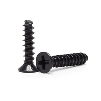 18-8 acier inoxydable SS304 A2-80 SS 2205 2207 noir E manteau fendu Torx croix évidement carré CSK tête fraisée vis à tarauder