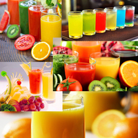 Fabriek Gemaakt Sap Maken Apparatuur Fruit Juicer Machine Commercieel Succes Sinaasappelpers
