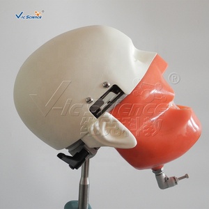 Maniquí de Cabeza para Prácticas de Enseñanza en Odontología, Equipo de Entrenamiento Dental, Simulador de Cabeza Fantasma con Simulación de Hombros y Cuerpo - Product Image 2